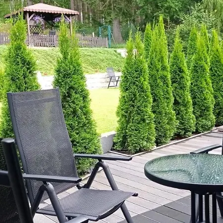 Pod Lasem Apartament